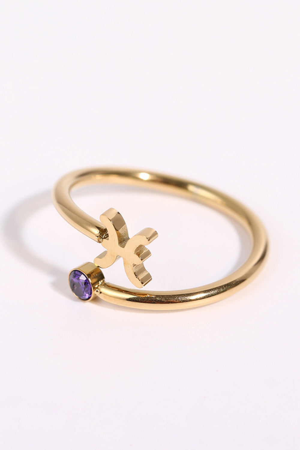 Constellation Signs - Stainless Steel Ring